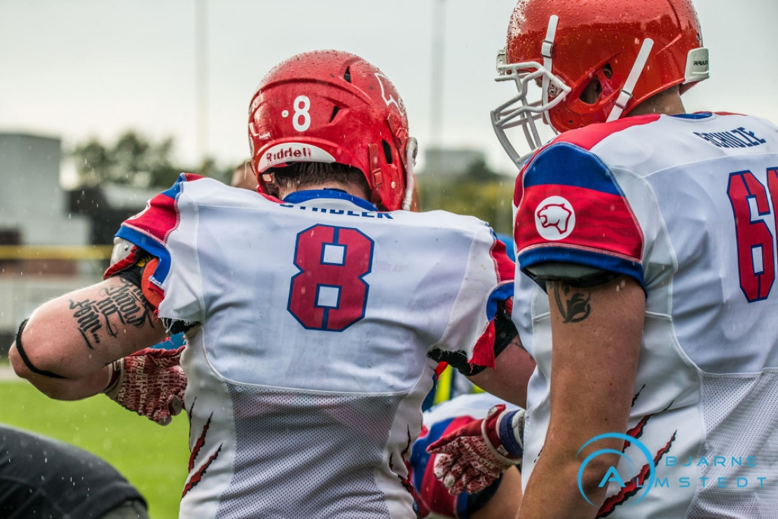 28:62 - Cougars verlieren in Elmshorn