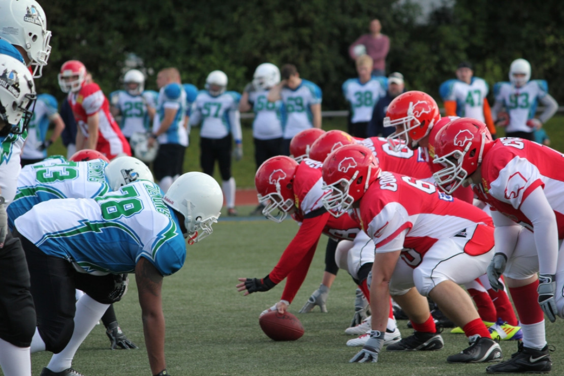 Spielbetrieb 2013 ohne Cougars II