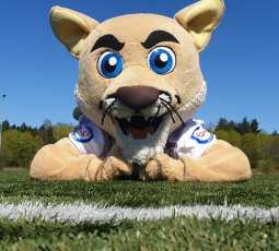 Cody mieten - und "Bar Nummer 12" retten Cody mieten - und "Bar Nummer 12" retten