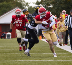 Finale in Lübeck - Cougars 2 spielen gegen Soltau