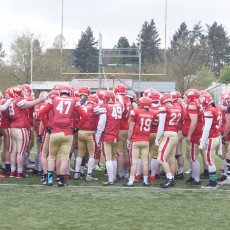 Cougars II mit Heimspiel gegen die Heide Saints