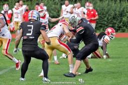 17:29 - Dezimierte Cougars unterliegen Huskies