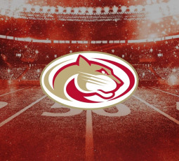 Teil-Neuorganisation des sportlichen Bereiches Teil-Neuorganisation des sportlichen Bereiches